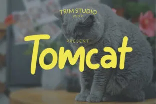 Tomcat letras para diseñar carteles