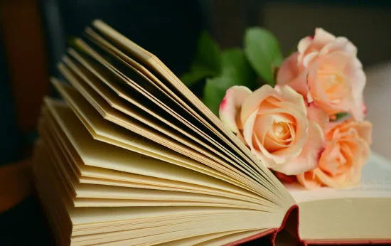 imagen de una novela para el artículo cuanto cuesta imprimir un libro en una imprenta