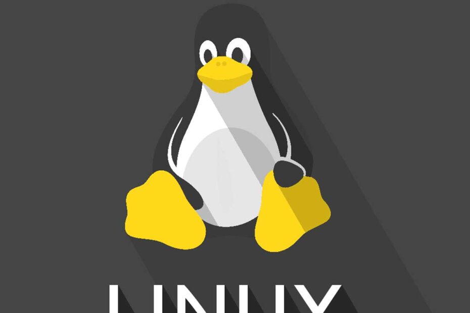 Mejores distribuciones de Linux para ordenador.