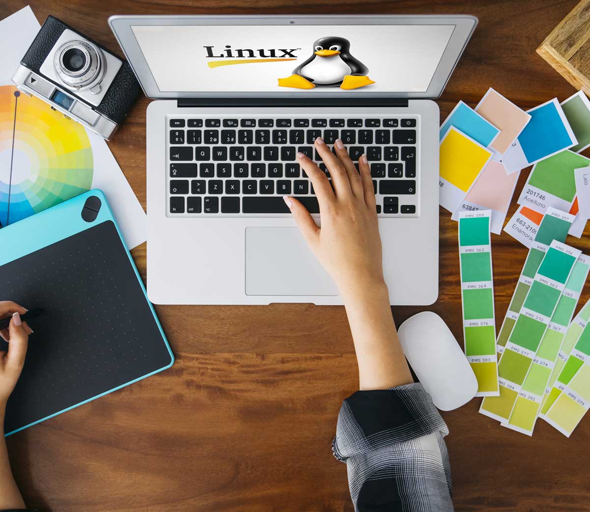 Las 5 mejores distribuciones de Linux para diseño gráfico y edición de ...