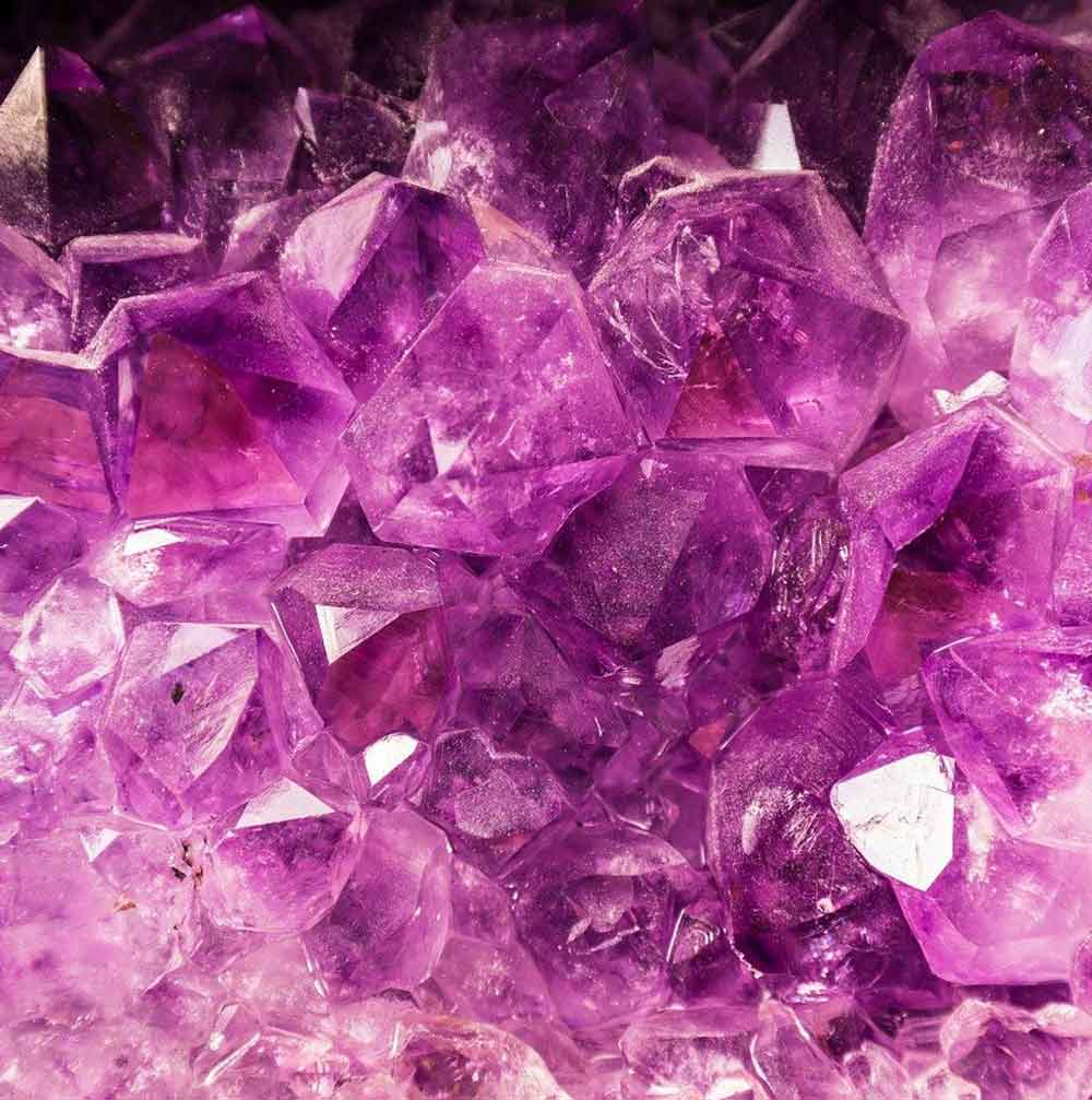 El morado o púrpura es un símbolo de la realeza.