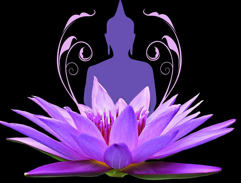 La flor de loto es el símbolo budista por excelencia.