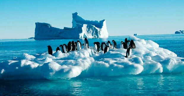 Lugares para fotografiar: La Antártida