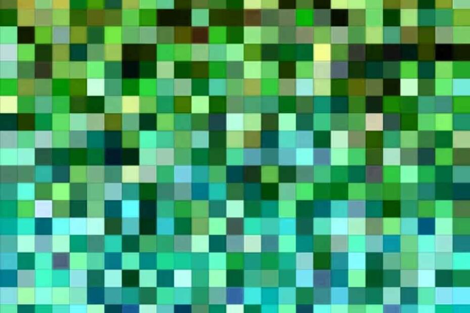 Las imágenes rasterizadas son aquellas que están compuestas por píxeles.